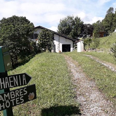 Apartamento Maison Florenchaenia Sur Le Chemin De Compostelle Saint-Jean-Pied-de-Port Exterior foto