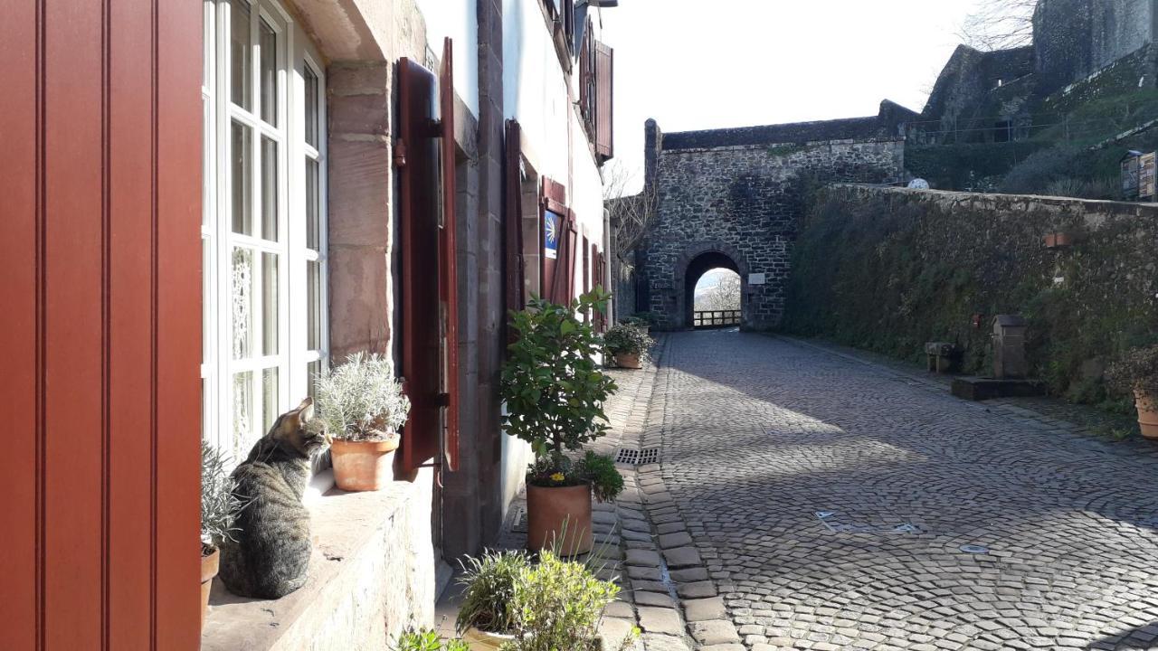 Apartamento Maison Florenchaenia Sur Le Chemin De Compostelle Saint-Jean-Pied-de-Port Exterior foto