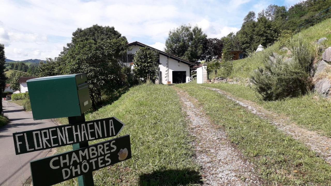 Apartamento Maison Florenchaenia Sur Le Chemin De Compostelle Saint-Jean-Pied-de-Port Exterior foto